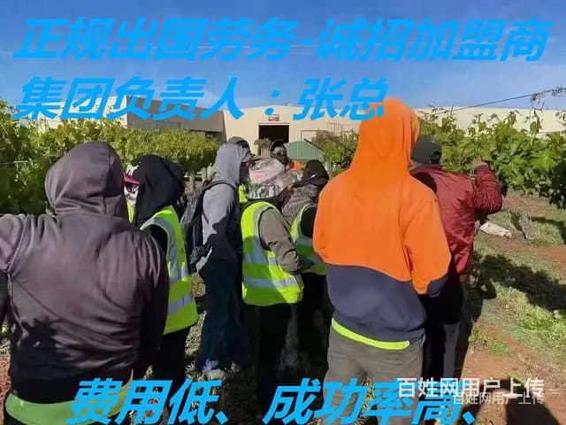 江苏无锡锡山中国正规出国劳务名单招月嫂保姆护理工出国打工 - 图片 6